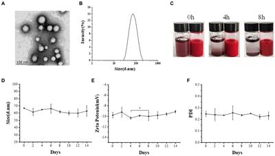 Astaxanthin-loaded polylactic acid-glycolic acid nanoparticles ameliorate ulcerative colitis through antioxidant effects